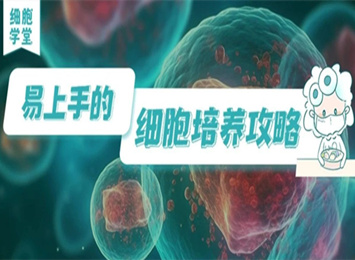實(shí)驗(yàn)指南欄目相關(guān)圖片