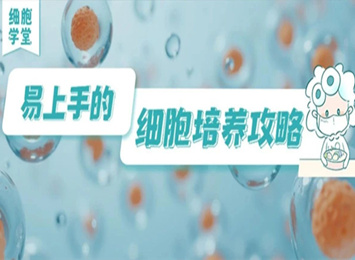 實(shí)驗(yàn)指南欄目相關(guān)圖片