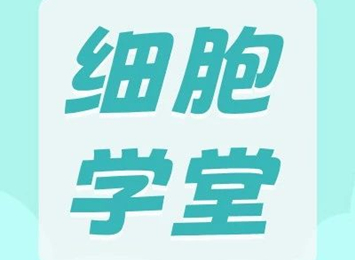 實(shí)驗(yàn)指南欄目相關(guān)圖片