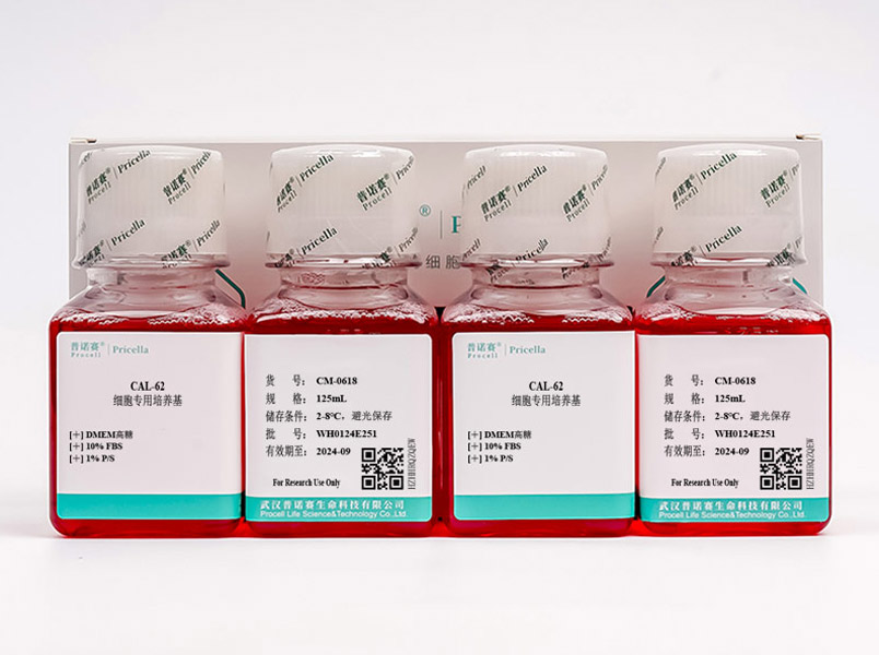 CAL-62細胞專用培養(yǎng)基