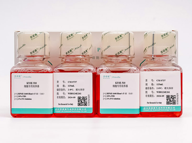 KYSE-510細(xì)胞專用培養(yǎng)基