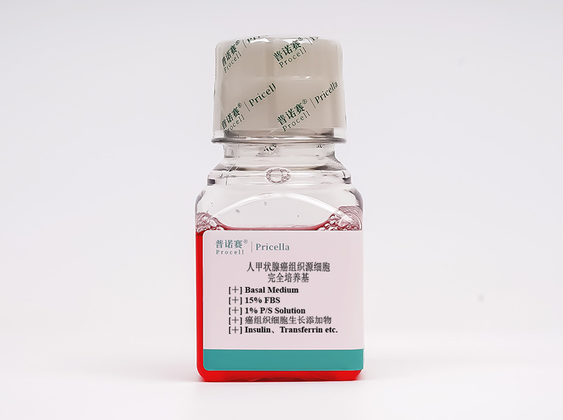 人甲狀腺癌組織源細胞完全培養(yǎng)基