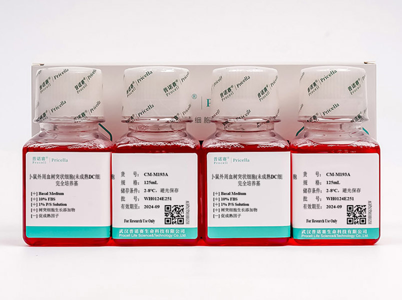 小鼠外周血樹突狀細(xì)胞(未成熟DC細(xì)胞)完全培養(yǎng)基