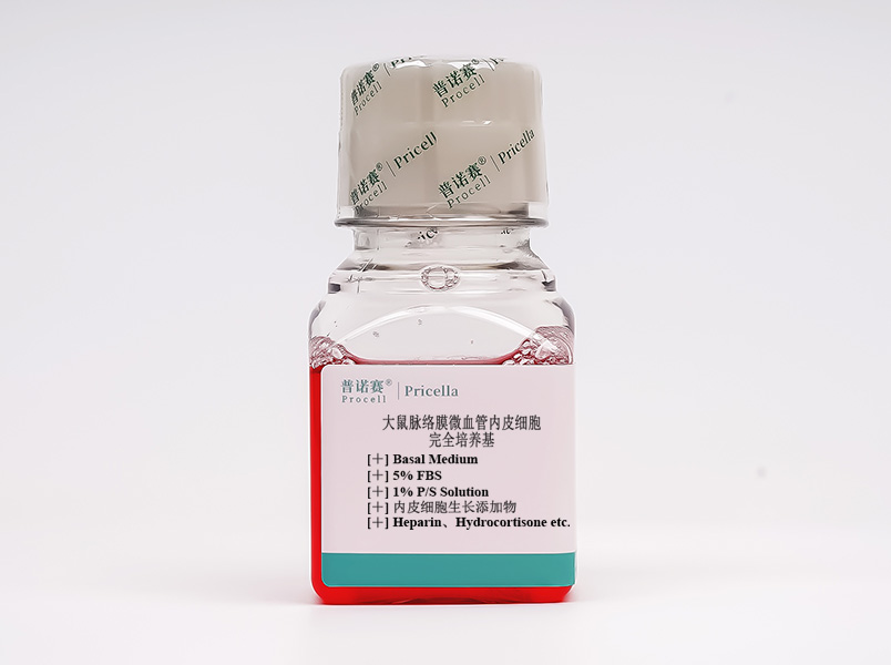 大鼠脈絡膜微血管內(nèi)皮細胞完全培養(yǎng)基