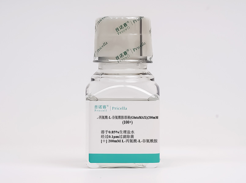 L-丙氨酰-L-谷氨酰胺溶液（GlutaMAX）(200 mM)，100×