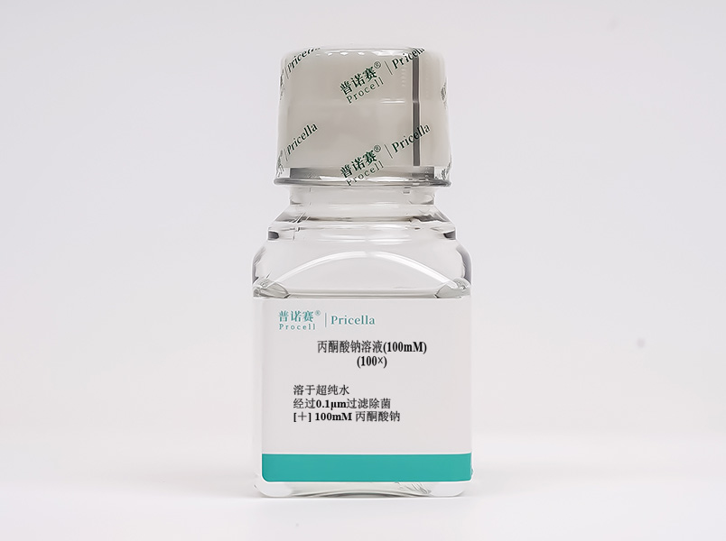 丙酮酸鈉溶液(100 mM)，100×