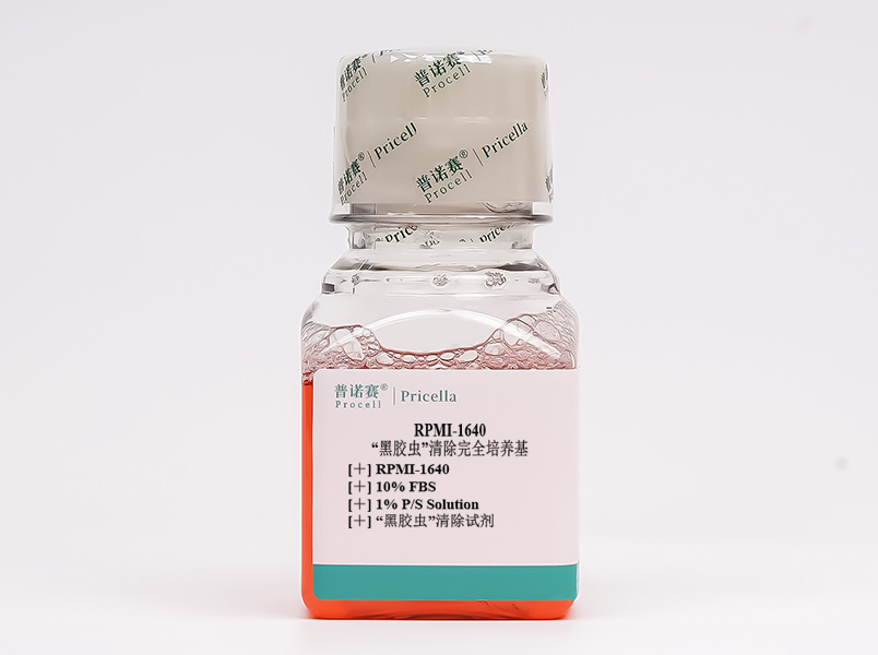 “黑膠蟲”清除完全培養(yǎng)基(RPMI-1640，含10%FBS)