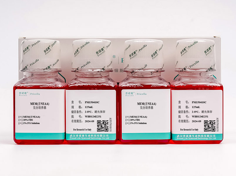 MEM完全培養(yǎng)基(含NEAA、20%FBS)