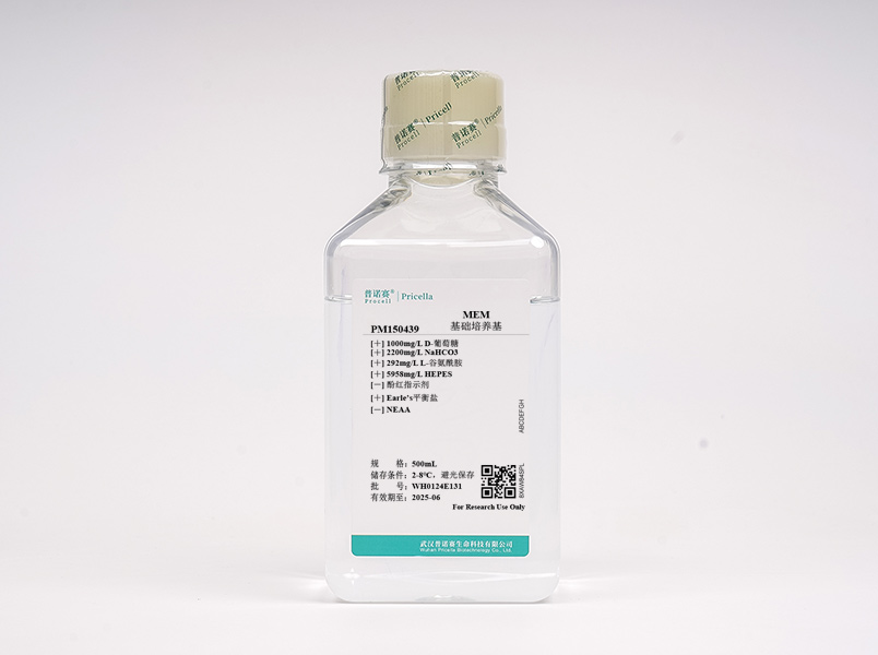 MEM（不含酚紅，含HEPES）