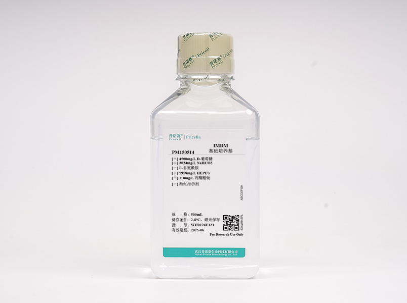 IMDM（不含酚紅、L-谷氨酰胺）