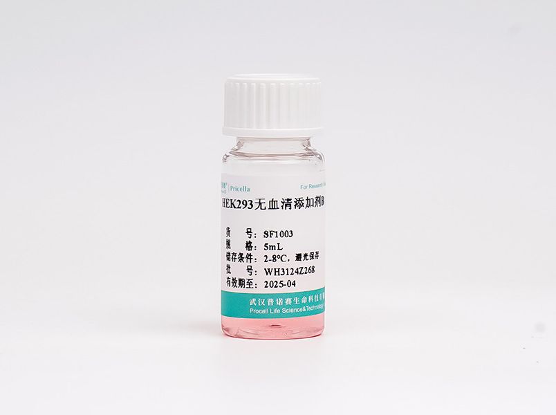 HEK293無血清補(bǔ)料B